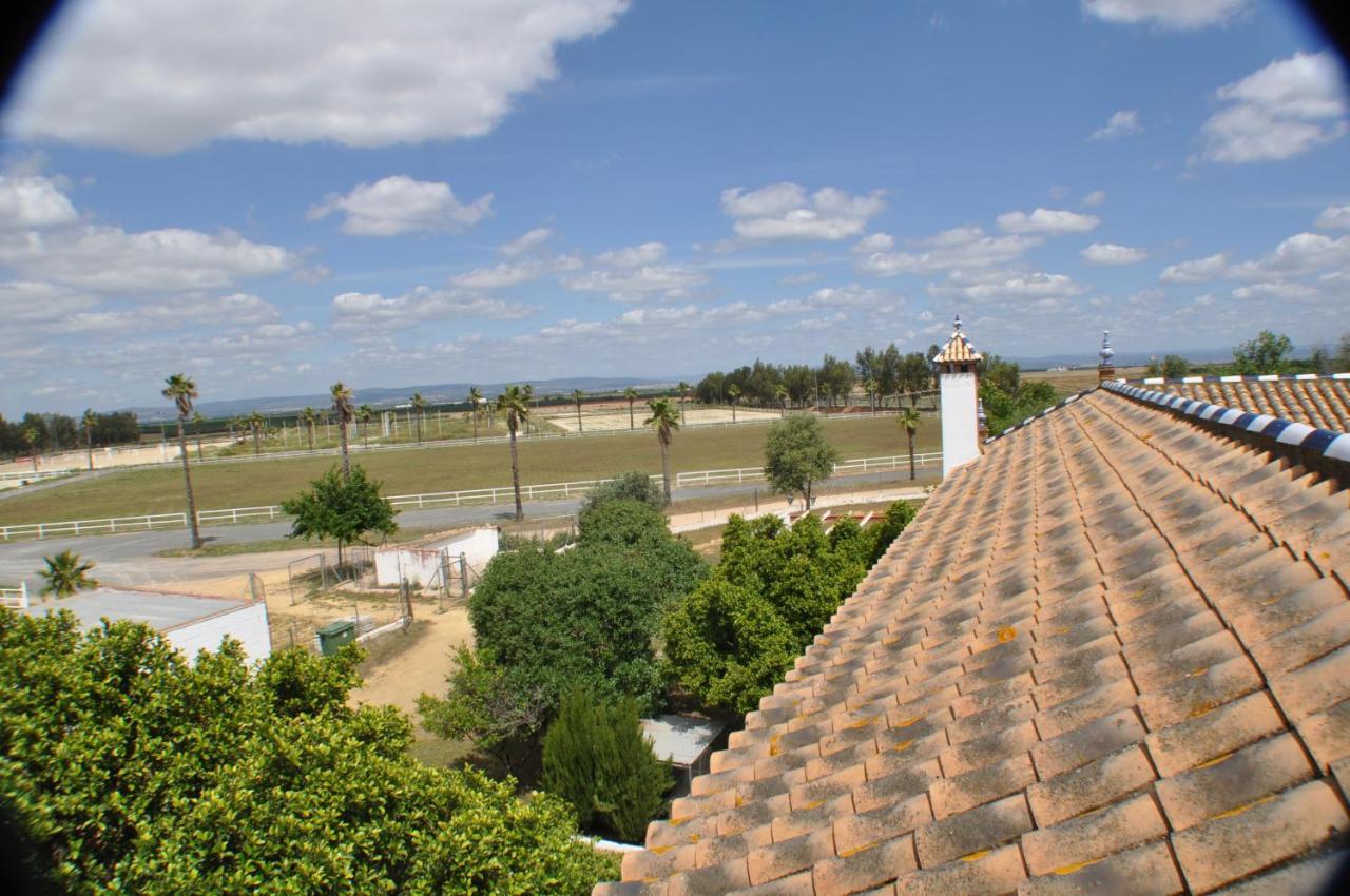 Villa Cortijo La Amazona à Séville Extérieur photo